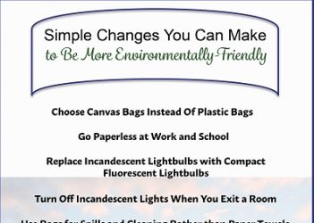 Simple Changes You Can Make to Be More Environmentally Friendly